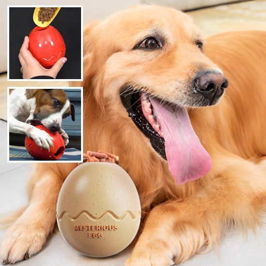 Jouet pour Chien Interactif  | topleasuredog