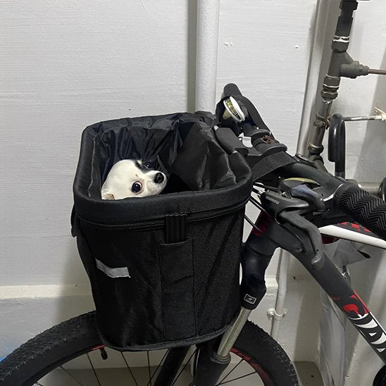 Panier velo chien 