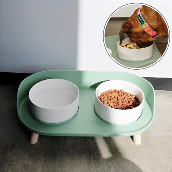 Gamelle chien | Ergonomique Antidérapante