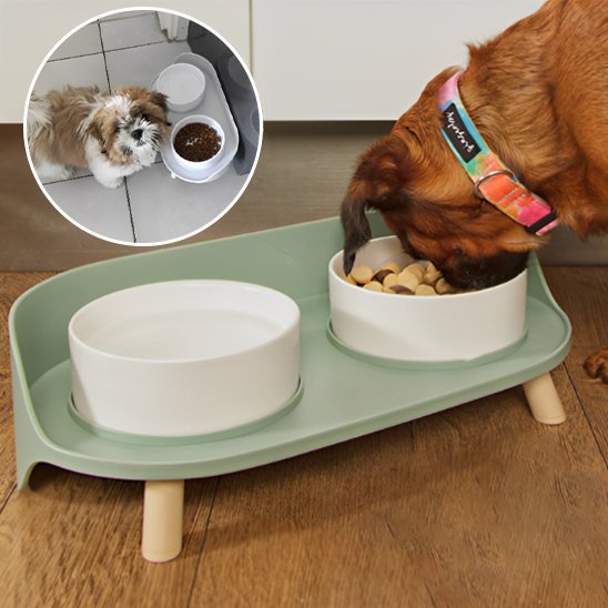Gamelle chien | Ergonomique Antidérapante