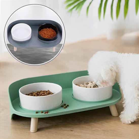 Gamelle chien | Ergonomique Antidérapante