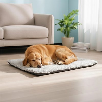 Tapis Chien 
