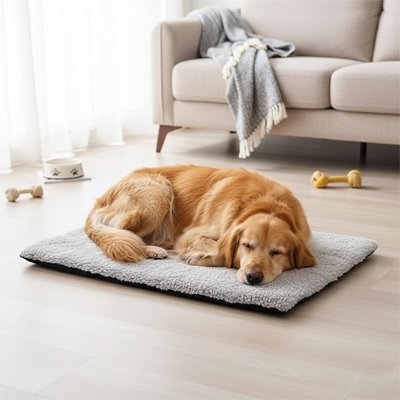 Tapis Chien 