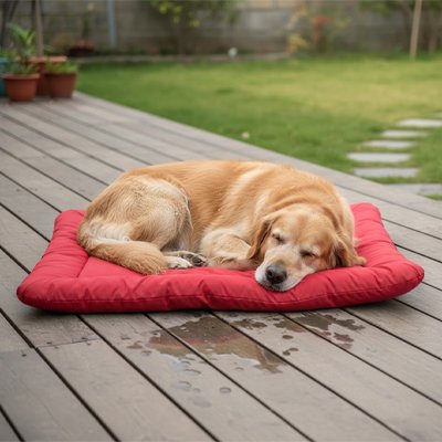 Tapis pour Chien 