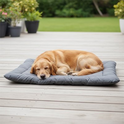 Tapis pour Chien 